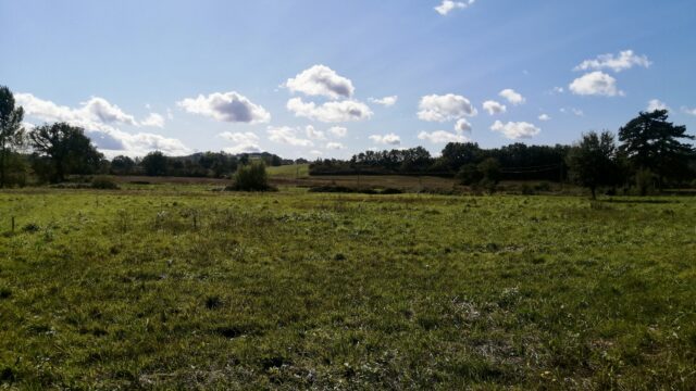IMG_20241008_124850